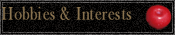 Interests & Hobbies