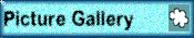 Picture Gallery