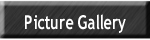 Picture Gallery