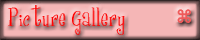 Picture Gallery