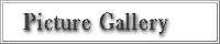 Picture Gallery