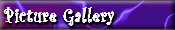 Picture Gallery