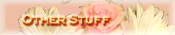 Other Stuff
