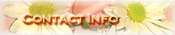 Contact Info