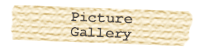 Picture Gallery