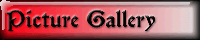 Picture Gallery