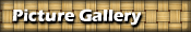 Picture Gallery