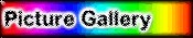 Picture Gallery