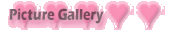 Picture Gallery