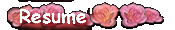 Resume