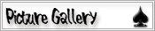 Picture Gallery