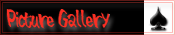 Picture Gallery