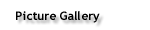 Picture Gallery