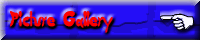 Picture Gallery
