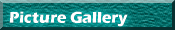 Picture Gallery