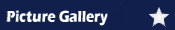 Picture Gallery