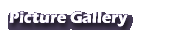 Picture Gallery