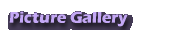 Picture Gallery