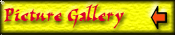 Picture Gallery