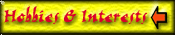 Interests & Hobbies