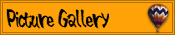 Picture Gallery