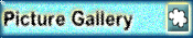 Picture Gallery