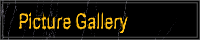 Picture Gallery