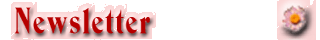 Newsletter