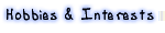 Interests & Hobbies
