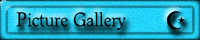 Picture Gallery
