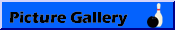 Picture Gallery