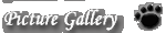 Picture Gallery