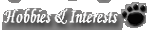 Interests & Hobbies