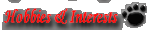 Interests & Hobbies