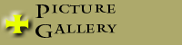 Picture Gallery