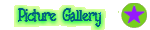 Picture Gallery