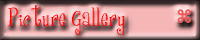 Picture Gallery