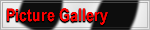 Picture Gallery