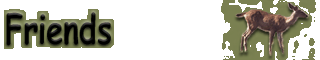 Friends