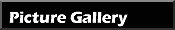 Picture Gallery