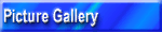 Picture Gallery