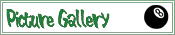Picture Gallery