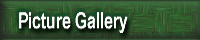 Picture Gallery