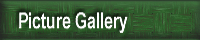 Picture Gallery