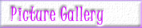 Picture Gallery