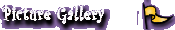 Picture Gallery