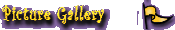 Picture Gallery
