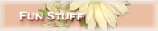 Fun Stuff