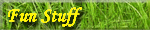 Fun Stuff