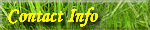Contact Info